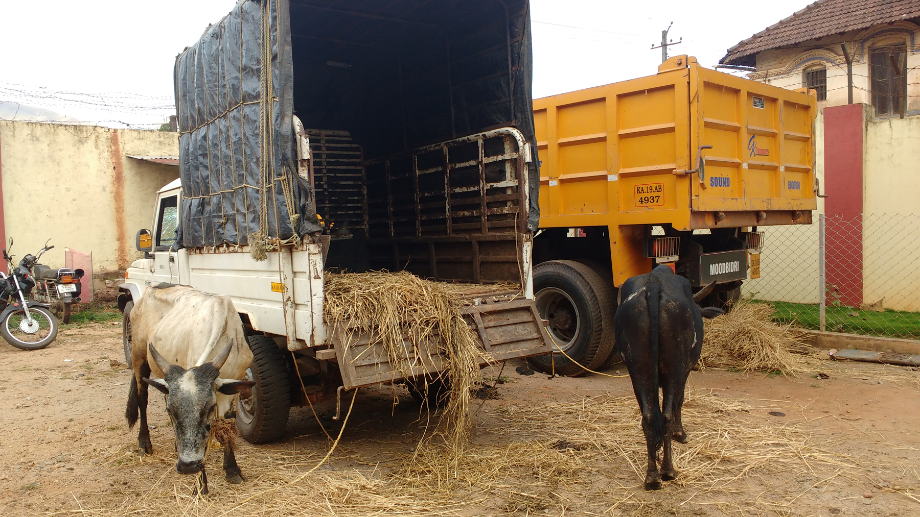 ಅಕ್ರಮ ಜಾನುವಾರು ಸಾಗಾಟಗಾರರನ್ನು ಹಿಡಿದು ಪೊಲೀಸರಿಗೊಪ್ಪಿಸಿದ ಗ್ರಾಮಸ್ಥರು
